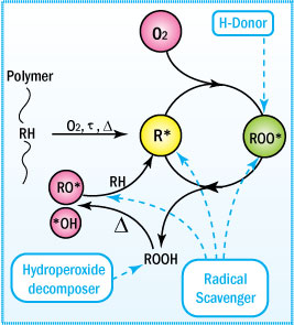 Oxidation Degradation Scheme
